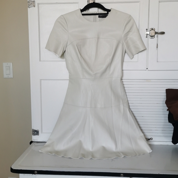 Zara Dresses & Skirts - Faux leather dress